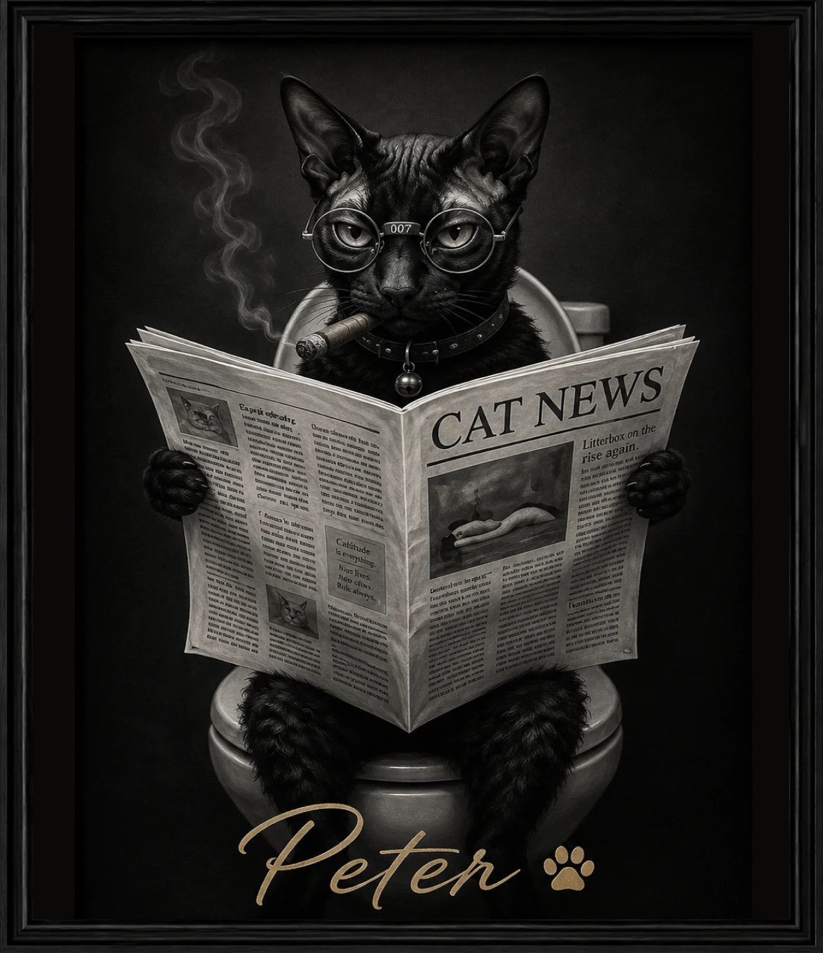 Peter the cat reading a newspaper